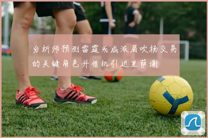 分析师预测雷霆或成浓眉吹杨交易的关键角色并借机引进里萨谢