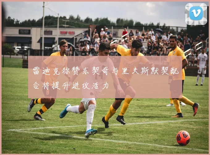 雷迪克称赞东契奇与里夫斯默契配合将提升进攻活力