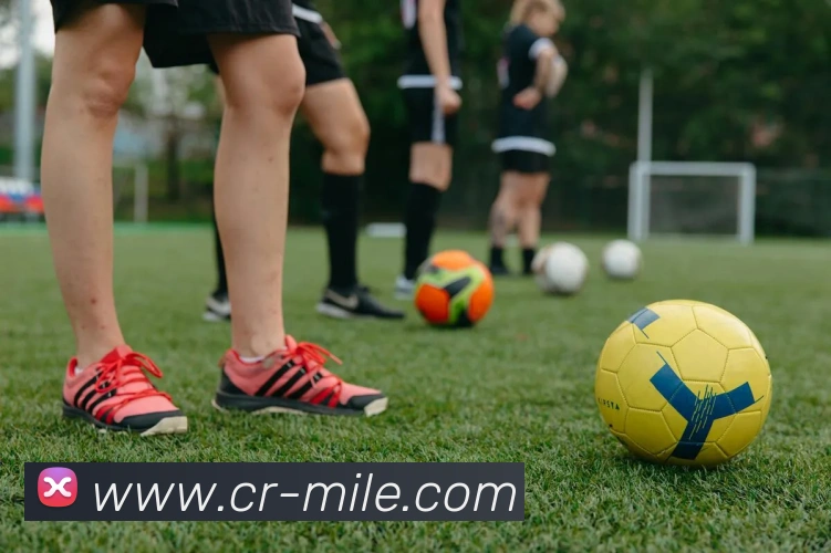 米乐足球APP 高清赛事图